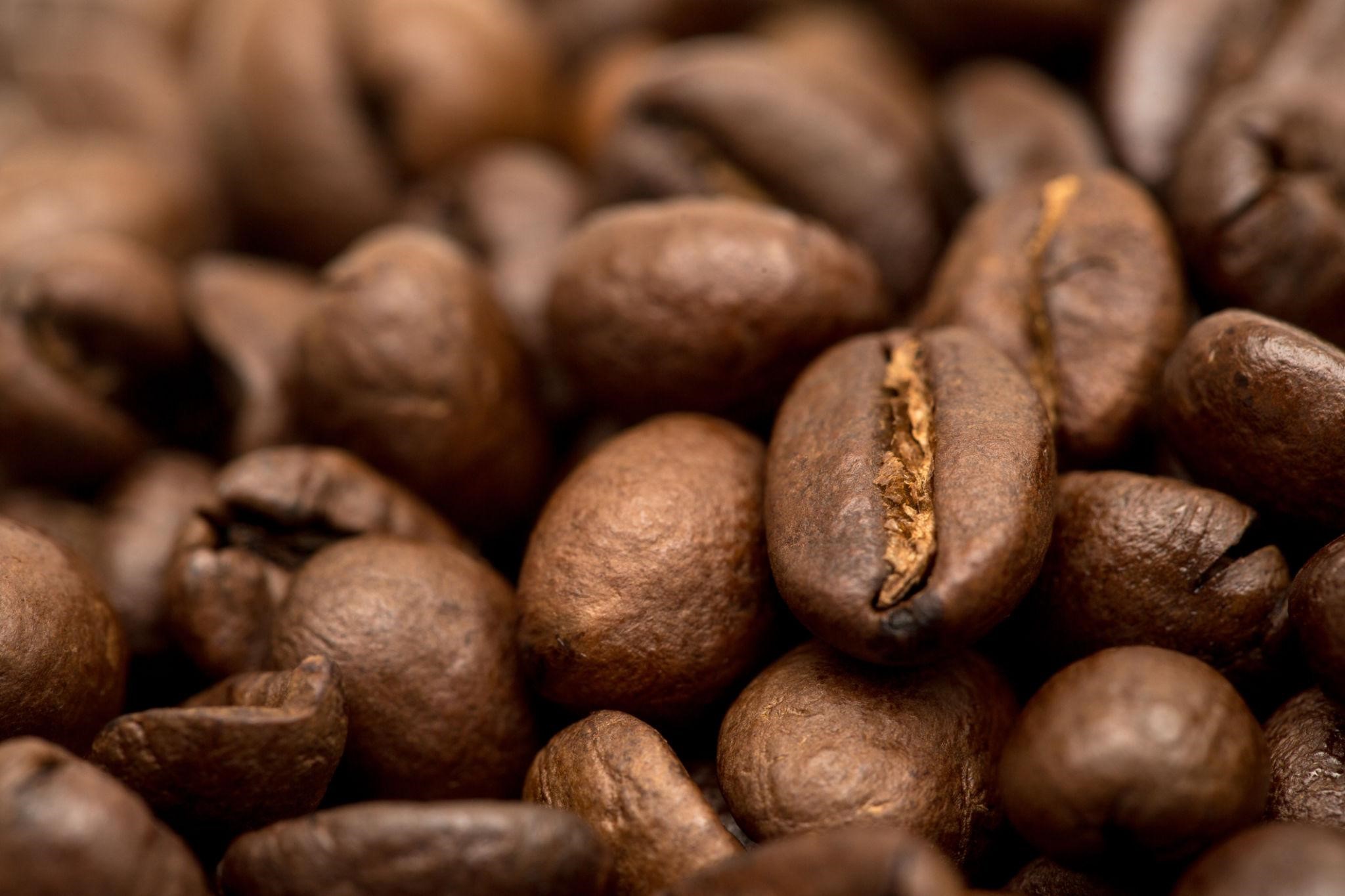 Arabica